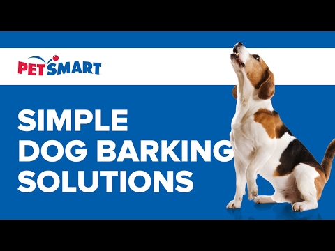 rfa 67 battery petsmart