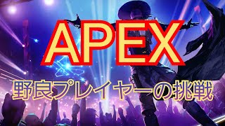 [APEX]野良プレイヤーの挑戦 1