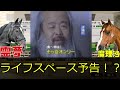 【佐賀記念予想】必勝態勢！？ノットゥルノとデルマソトガケ！？サウジカップとフェブラリーsのエアポケット的な交流重賞…音無厩舎引退の余波2025年シルクロードステークス動画【競馬ゆっくり】【私の競馬論】