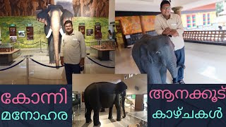 കോന്നി ആനക്കൂട് മനോഹര കാഴ്ചകൾ | Konni Elephant Cage | J P Vennikulam