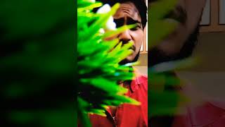 Kadar Bhuiel Gele ge #bhojpuri #trending #reels #tiktok #song #shorts