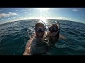 diving the maldives aboard scubaspa ying