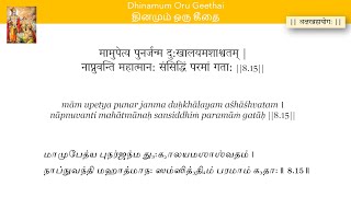 நாள் #316 | அத்தியாயம் 8 -  ஸ்லோகம் 15 | Day #316- Chapter 8 Sloka 15 | தினமும் ஒரு கீதை