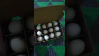 Pure Desi Eggs..