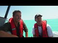 conserving rare dolphins in australia full episode the wild life of tim faulkner