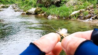 I found a rising char! [Mountain stream fly fishing]