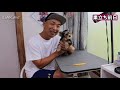 ホワ～ンちゃん巣立ち【ヨークシャーテリア専門犬舎チャオカーネ】