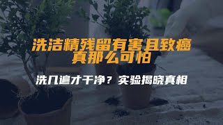 洗洁精残留有害且致癌，真那么可怕？洗几遍才干净？实验揭晓真相