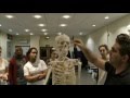 skeletal system. simple demonstration