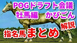 【POG2020 　指名馬まとめ解説】かびごんの牡馬POGドラフト会議指名馬まとめと解説　新馬戦で走る馬はいるのか？