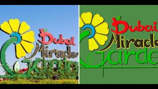 Full Video Miracle Garden Visit 2025