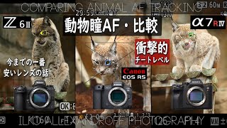 衝撃！動物瞳AF比較！Nikon vs. Sony vs. Canon！ニコンZ6 II, ソニーA7R4, キヤノン EOS R5どっちが速い？王子動物園で85mmで撮影【イルコ・スタイル#524】