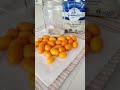 preserved kumquat in salt see you in 6 months😊 shortvideo delicious homemade yummy food eat