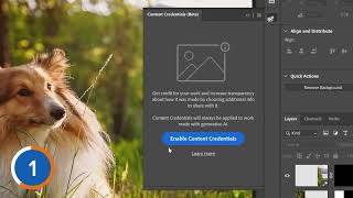 🔍 What Are Content Credentials? | Secure Your Digital Work