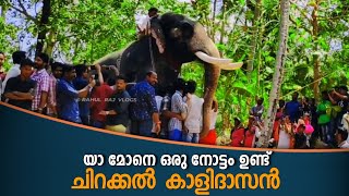 Chirakkal Kalidasan Mass Entry | Chennancode Pooram 2019 | Varkala