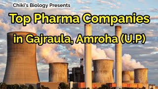 Top Pharma Companies in Gajraula, Amroha (U.P) || Must Watch Video for freshers...By Chiki's Bio