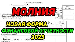 СРОЧНО! НОВАЯ Финансовая Отчетность 2023. Бухгалтерская отчетность и Отчет о прибылях и убытках 2023