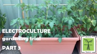 Does electroculture gardening work? Part 3