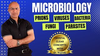 Microbiology | Prions Viruses Bacteria Fungi & Parasites👨‍⚕️