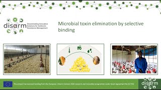 Microbial toxin elimination from feed by selective binding