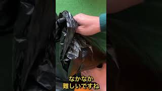 段ボールコンポスト88日目　粉ダニ死滅作戦失敗！！