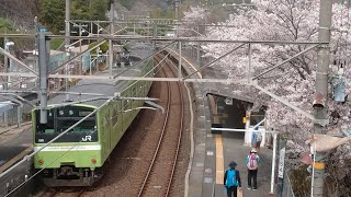 河内堅上駅の桜が満開なので見てきました#電車