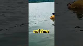 หน้าฝนใส่มองดักปลาวิถีคนอิสาน🌧️🐟🐠 #ความสุข #ธรรมชาติ #อิสานบ้านเฮา #shorts