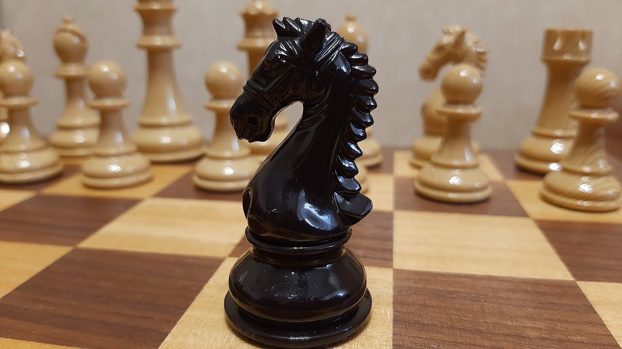 2 коня шахматы. Шахматный конь. Конь шахматы. Шахматная фигура конь. Конь на шахматной доске.