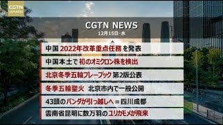 【CGTN NEWS：12月15日（水） アナ：劉 叡琳（リュウ・エイリン）】