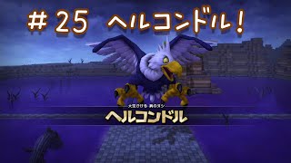 【ドラゴンクエストビルダーズ】＃２５　ヘルコンドル！【みーくん実況】