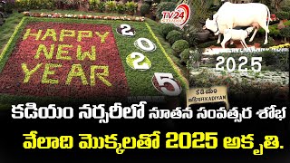 కడియం పల్లా వెంకన్న నర్సరీ లో నూతన సంవత్సర శోభ | Kadiyam Nursery Plants | TV24 Studio