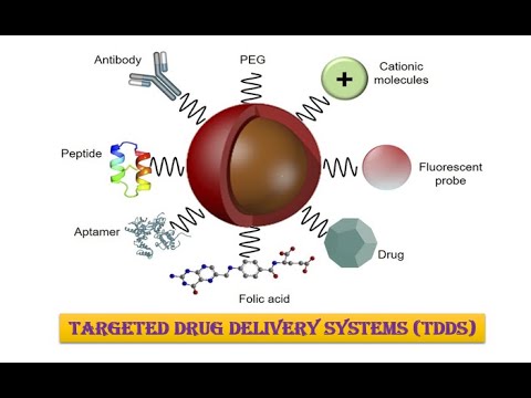 Targeted Drug Delivery Systems (TDDS) In Depth - YouTube