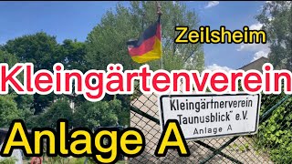 Gartenrundgang Mai 2022 Vlog