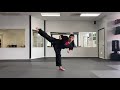 Kicking Kata Tutorial