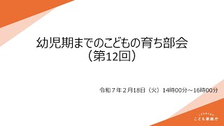 幼児期までのこどもの育ち部会（第12回）