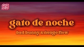 Bad Bunny x Ñengo Flow - Gato De Noche (Letra/Lyrics)