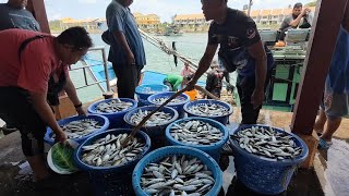 Sempat sekali memukat sebelum arus tiba tiba menjadi deras