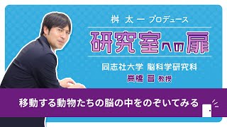 同志社大学ハリス理化学研究所『研究室への扉』（京田辺キャンパス）:脳科学研究科　髙橋 晋（タカハシ　ススム）教授