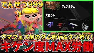 全ステ野良カンスト勢のサーモンラン！伝説999～クマフェス前のダム修行しつつタツも狩る！【スプラトゥーン3】