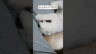 중요부위 공격당했습니다