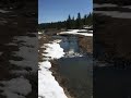 Field Note: Beaver dam analogues to restore degraded public land near Anaconda, Montana