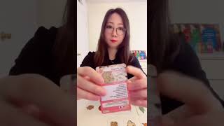 Boncho Memory Game: Level 5 - The Category Game