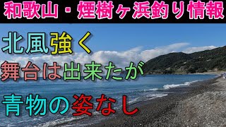 11-21　煙樹ヶ浜釣り情報・取材編【第1147回】舞台は出来たが北風強く釣り辛い ＃遠投カゴ釣り #和歌山釣り #煙樹ヶ浜