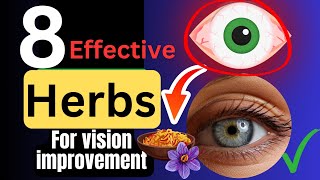 top 8 herbs to Repair vision and protect your eyes!
