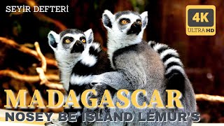 Hiç Madagascar'ı Hayal Ettinizmi?  Seyir Defteri: \