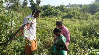 ராமேஸ்வரத்தில் இருந்து தேடிவந்த பக்தருக்கு வாக்கு சொன்ன சித்தர்! | கருட சித்தர் அருள்வாக்கு