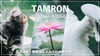 【動画作例あり】Xマウントのタムロンレンズで写真も動画も撮ってみた！『TAMRON 18-300mm F3.5-6.3 Di Ⅲ-A VC VXD』