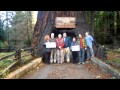 Drive Thru Tree -- Leggett CA,  Chandelier Drive Through  Redwood park  Tree