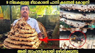 Big Hornets Nest Removel Malayalam | വലിയ കടന്നൽ കൂട് നശിപ്പിക്കുന്നു | Kadannal Kood Removel