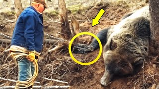 Man Saves Crying Bear, Then Something Shocking Happens